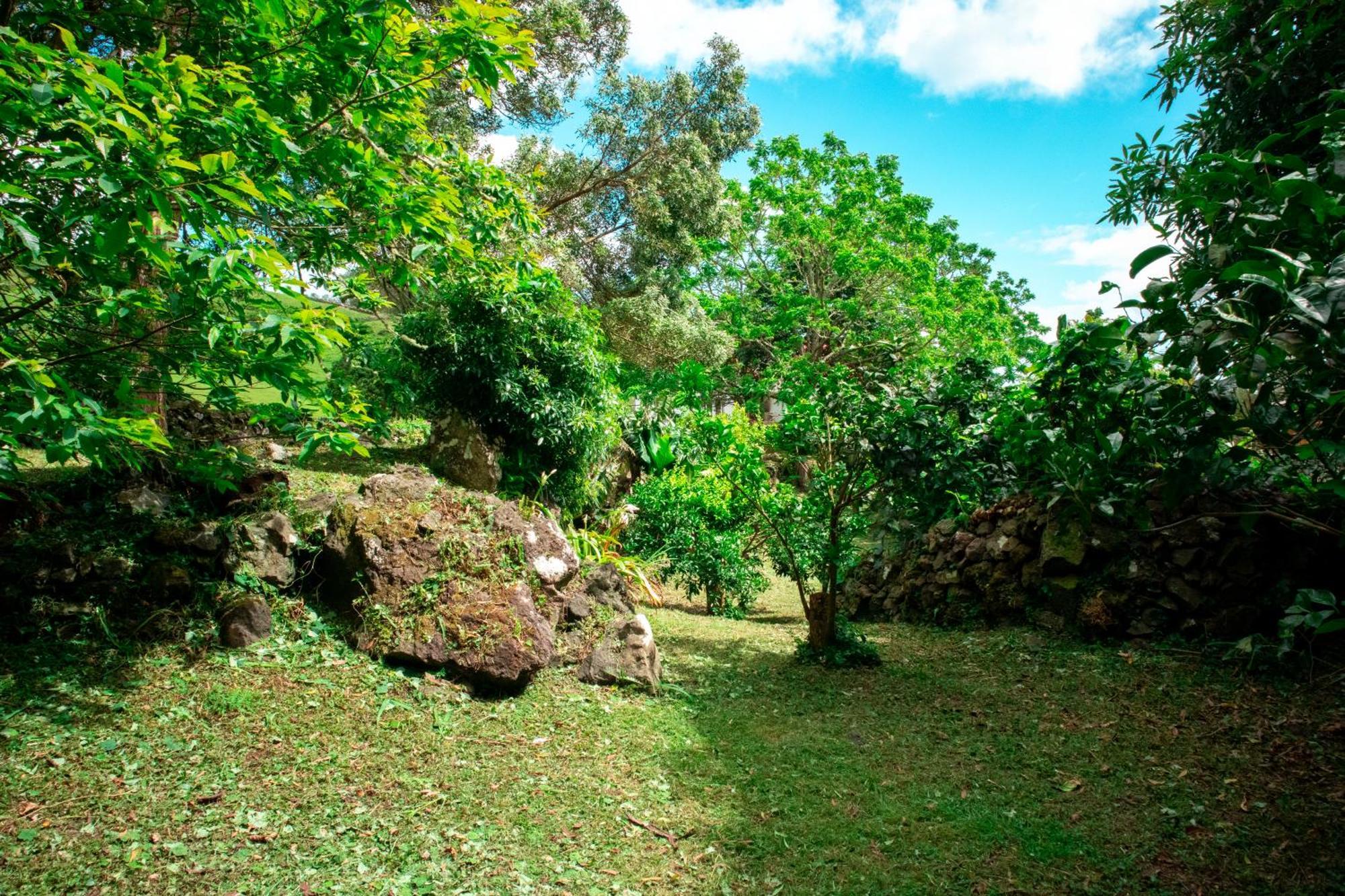 Casa De Campo Franco Da Serra 앙그라두에루이스무 외부 사진